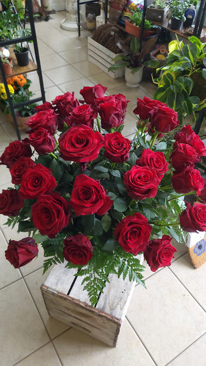 24 Red Explorer Rose Bouquet