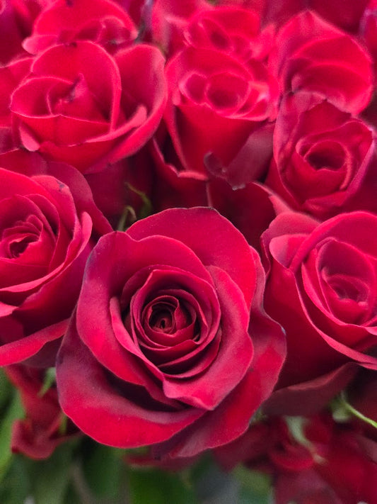 Dozen Roses with Greens