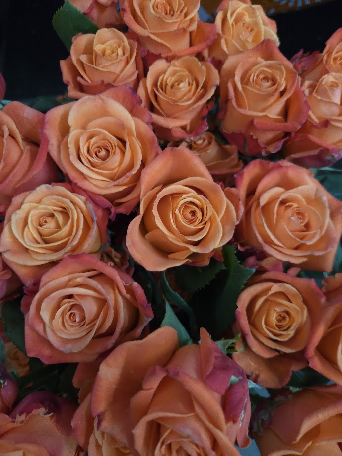 Dozen Roses with Greens