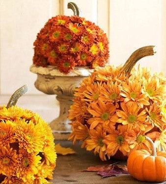 Hey There Pumpkin