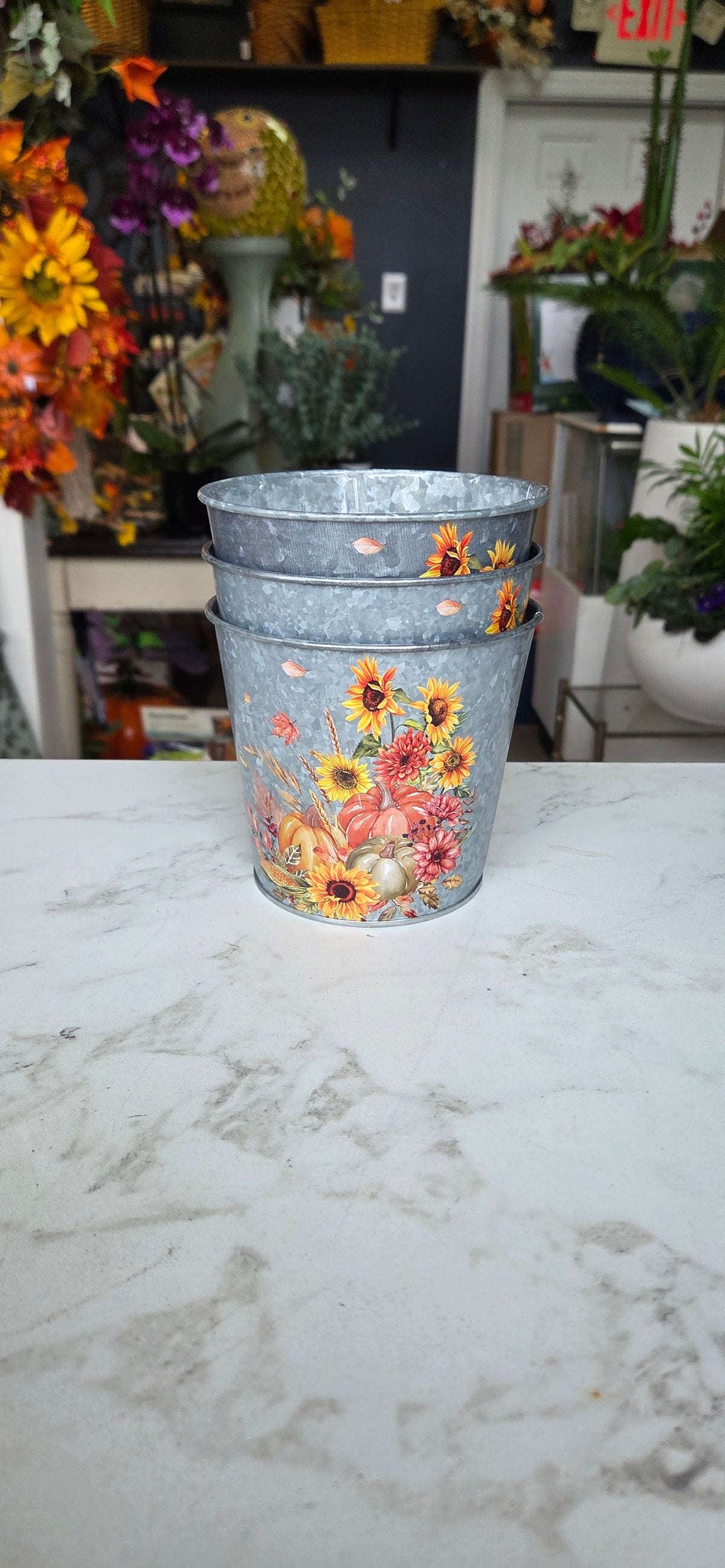 Metal Pumpkin/Sunflower Pot