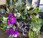 'The Rainforest' Grapevine Wreath