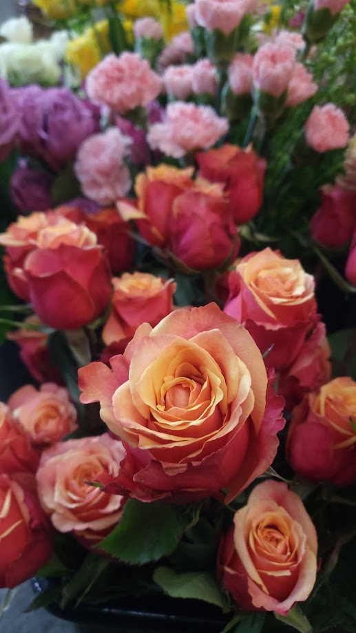 Dozen Roses with Greens