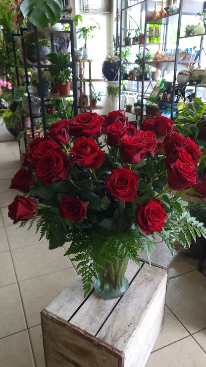 24 Red Explorer Rose Bouquet