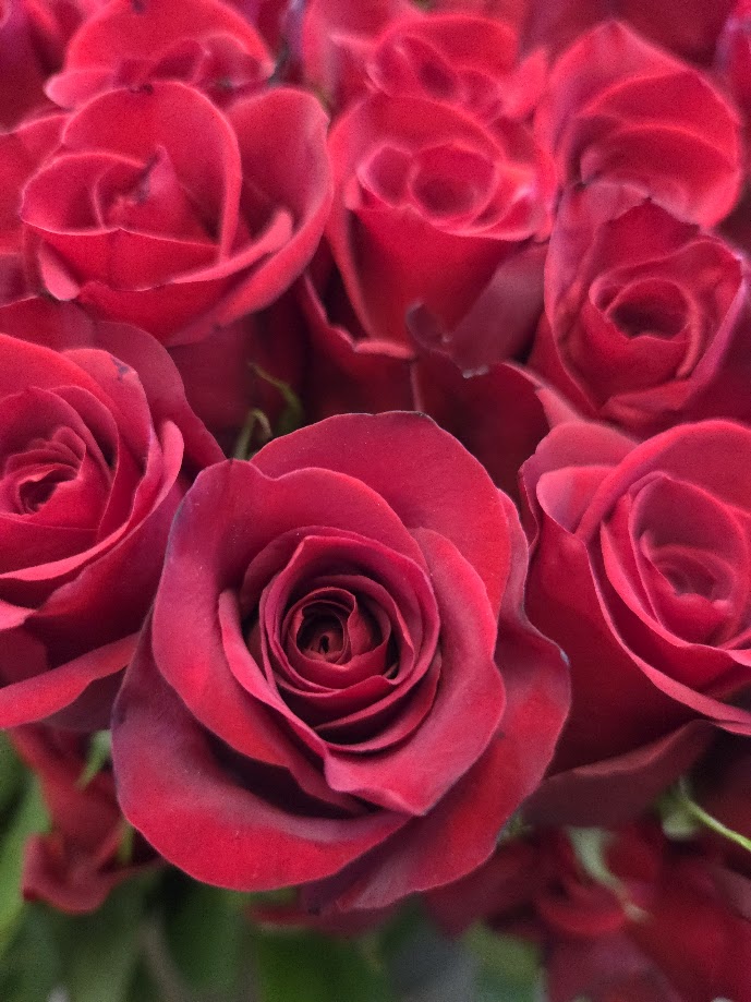 Dozen Roses with Greens
