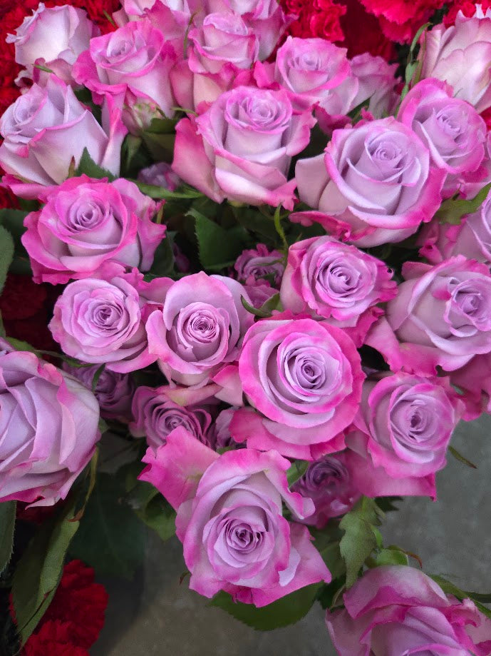 Dozen Roses with Greens