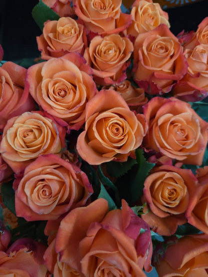 Dozen Roses with Greens