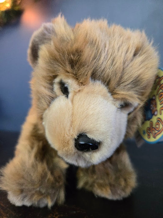 Bear Plushy