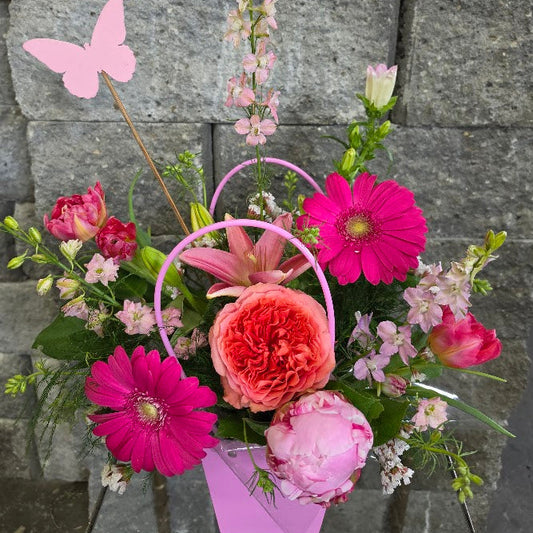 Butterfly in Pink