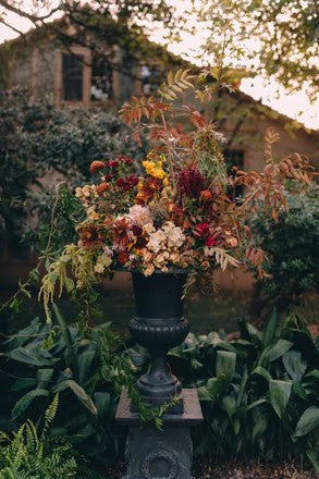Fireside Blooms