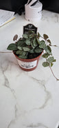 String Of Hearts