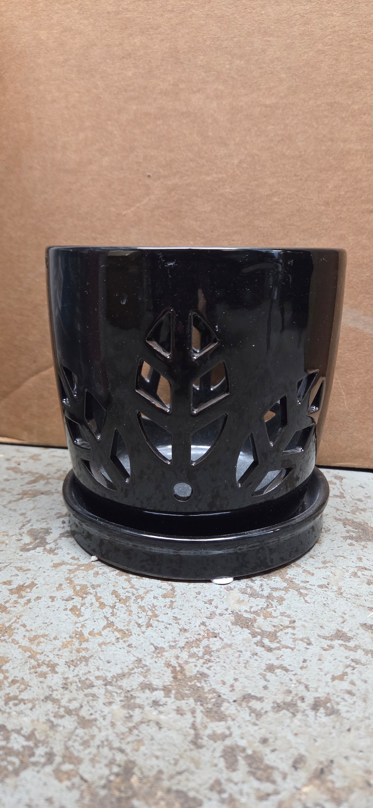 Black Orchid Pot