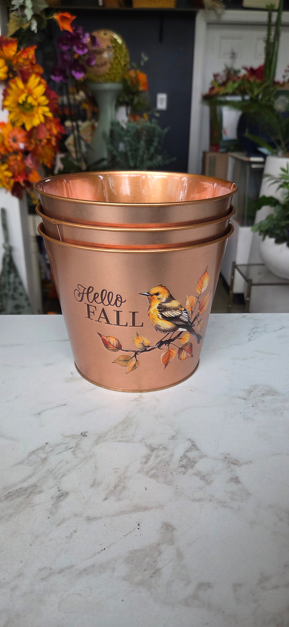 Copper Fall Harvest Pot Ast.