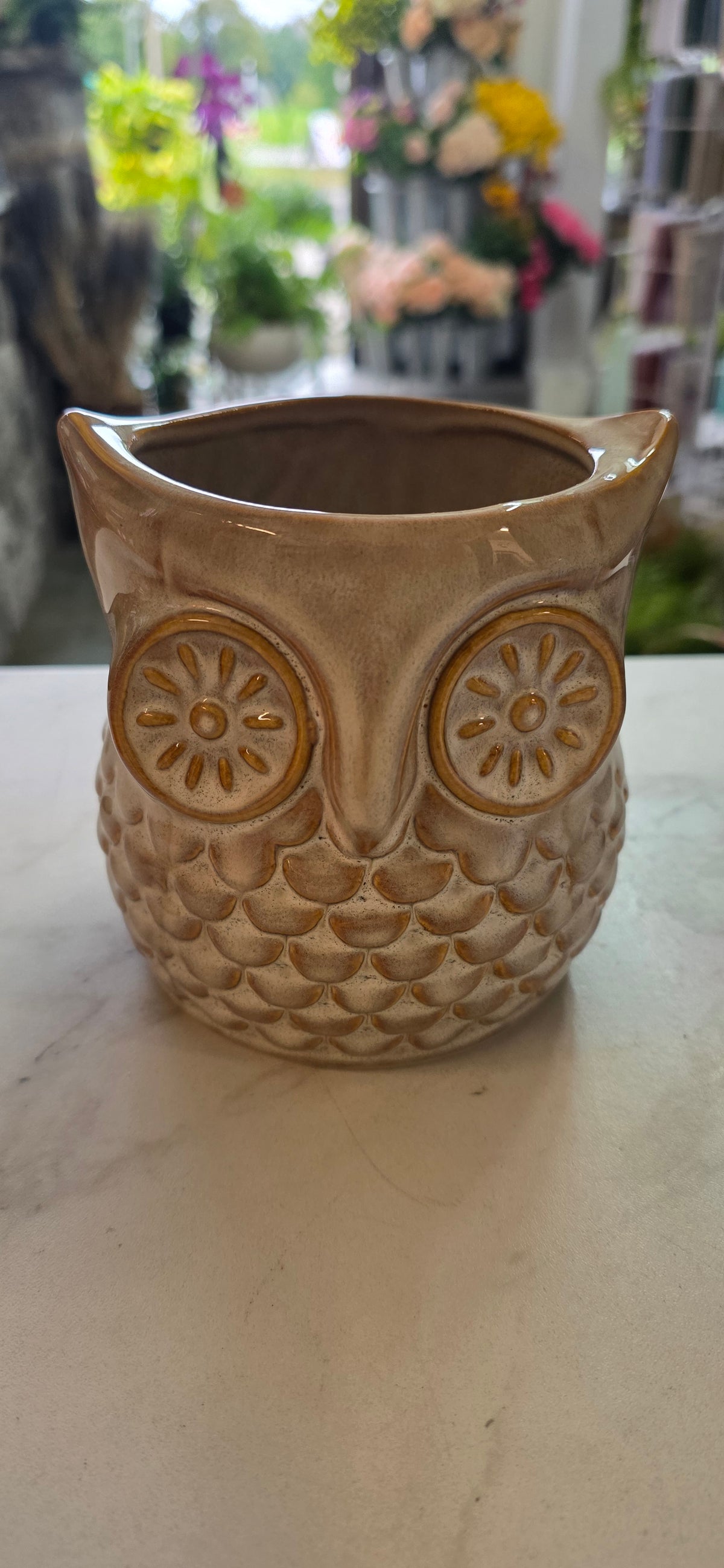 Owl Pot