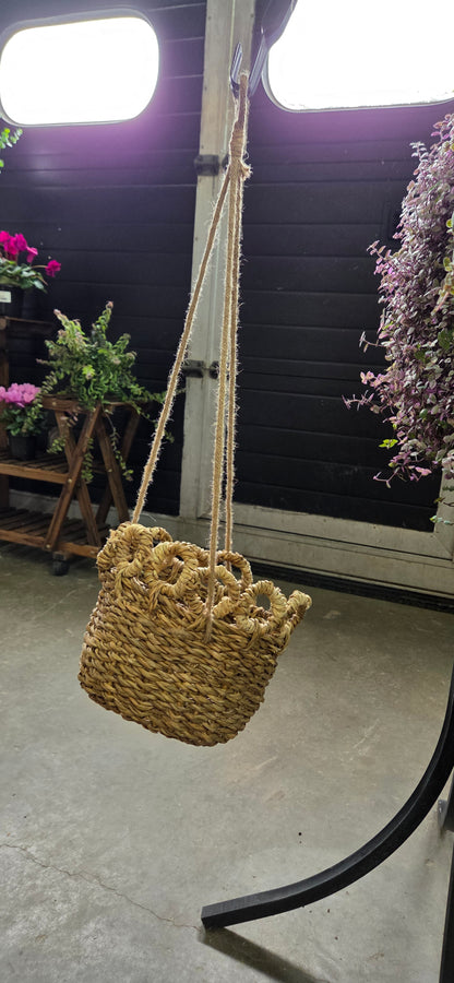 Verse Hanging Basket